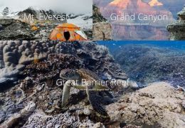 Google Treks e o passeio pela web