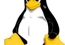 Linux - A principal concorrente da Microsoft em Sistemas Operacionais