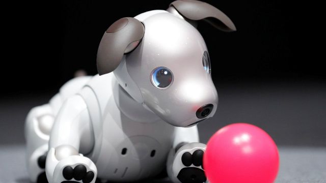 Cachorro-robô da Sony começa a ser vendido em setembro nos EUA
