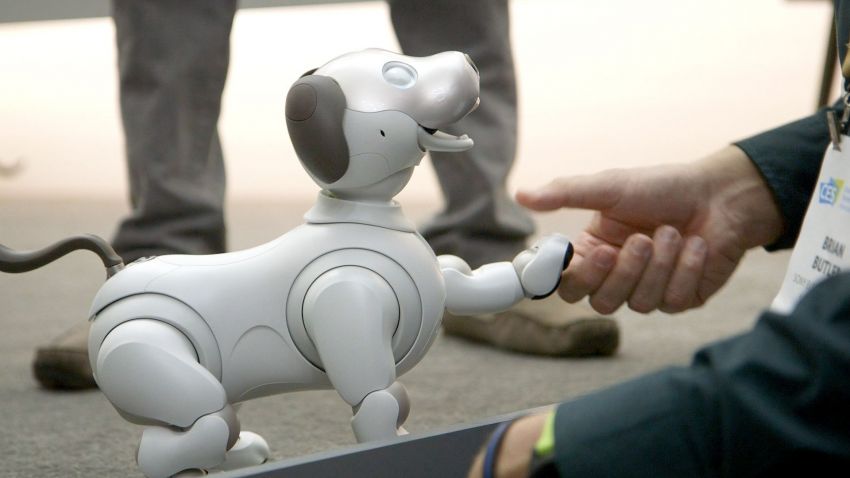 Cachorro-robô da Sony começa a ser vendido em setembro nos EUA